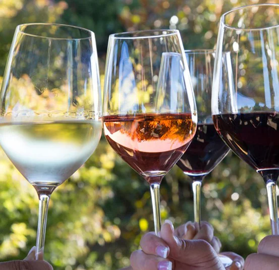 Summerland Bottleneck Wine Tour - 3 Winery Tasting Tour
