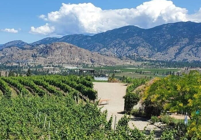 bachelorette trilogy penticton