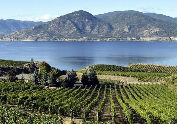 naramata-bench-wine-tour-half-day